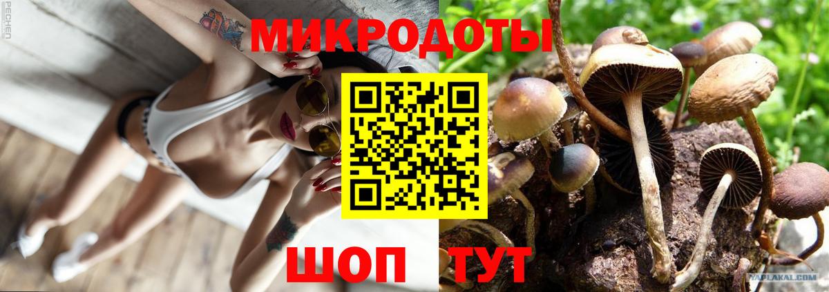Псилоцибиновые грибы GOLDEN TEACHER  Вход с VPN  Черкесск  Галлюциногенные грибы Psilocybine cubensis 