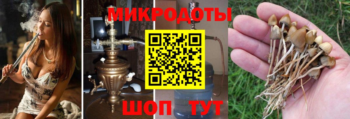 Псилоцибиновые грибы GOLDEN TEACHER Черкесск